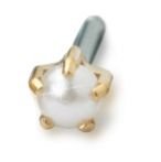 BLOMDAHL - 12-1303-59 Tiffany 4 m