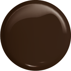 Victoria Vynn Pure Color - No.189 TRUFFLE BROWN 8ml